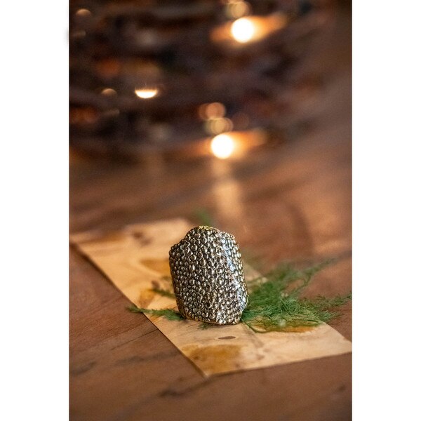 Pisces Ring Lifestyle 185